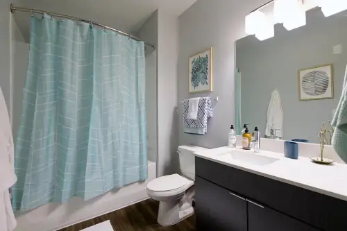 S Bed The Standard at Fort Collins 4