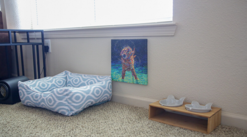 S Bed The Lyfe at Missouri 5