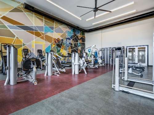 S Bed The Local Downtown 1