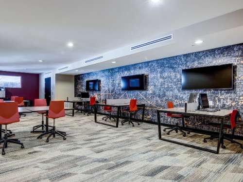 S Bed The Local Downtown 20