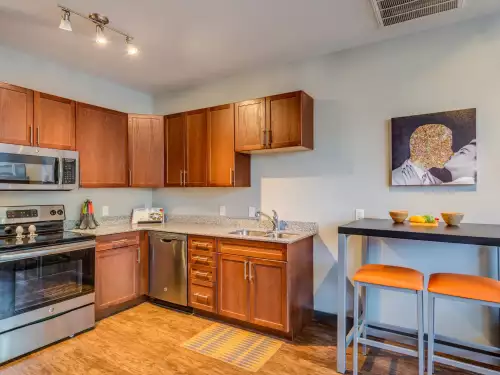 S Bed Vie Lofts at San Marcos 9