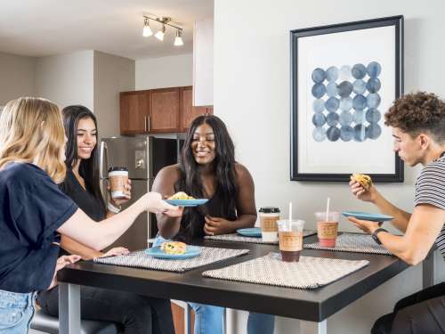 S Bed Vie Lofts at San Marcos 69