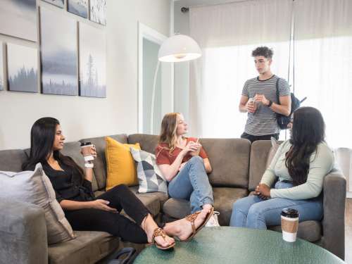 S Bed Vie Lofts at San Marcos 71