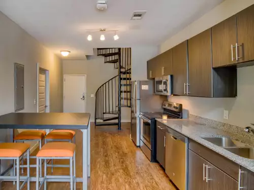 S Bed Vie Lofts at San Marcos 6