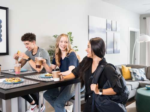 S Bed Vie Lofts at San Marcos 70