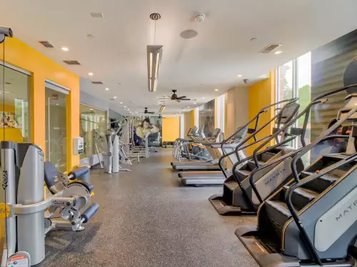 S Bed Vie Lofts at San Marcos 19