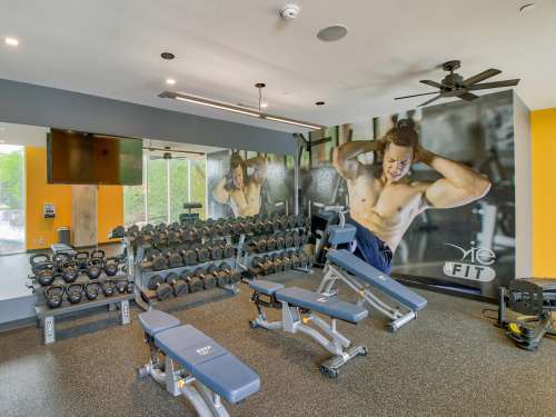 S Bed Vie Lofts at San Marcos 58