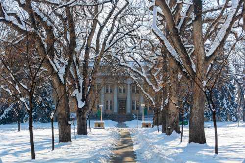 S Bed Union on Alley 42